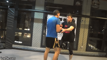 Standing Guillotine Defense