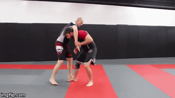 Standing Guillotine Defense