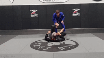 BJJ Drill For Speed - Shin Pin