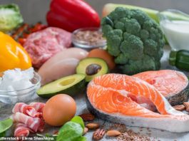 Best Diet For BJJ: Is Keto Good For Grapplers?