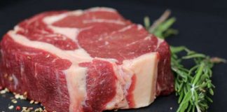 Carnivore Diet For BJJ - Good Or Bad Idea ?