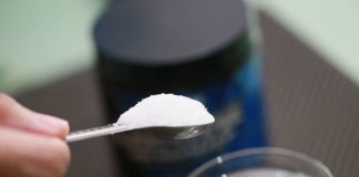 Creatine For BJJ