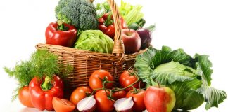 Simple Vegan BJJ Diet Rules