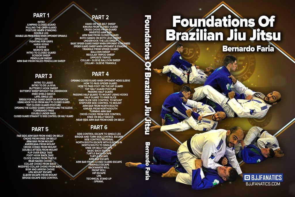 Bernardo Faria DVD Foundations Of BJJ Best BJJ DVD Review