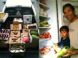 Jiu-Jitsu Nutrition: How To Pull Off A Plant-Based Diet