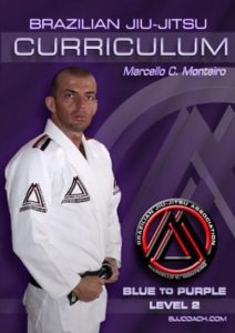 BJJ-CURRICULUM-BLUE-TO-PURPLE-LEVEL2