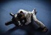 Best Grappling Dummy