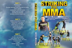 Striking For MMA by Daniel Woirin