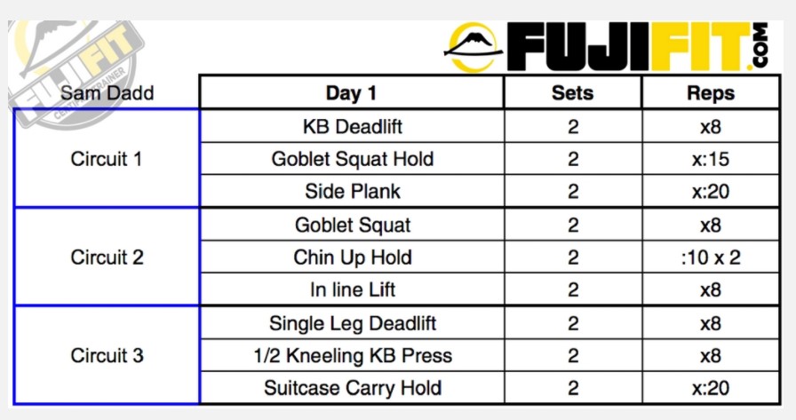 Workout For BJJ Circuits