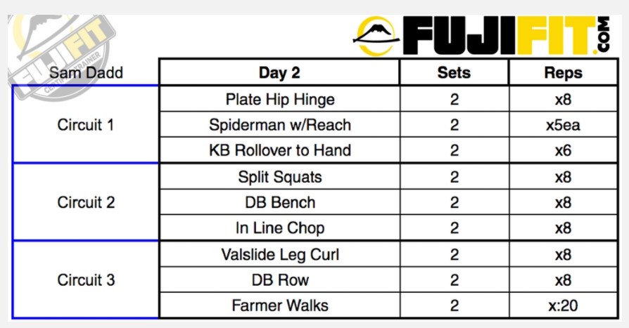Circuit Workout For BJJ