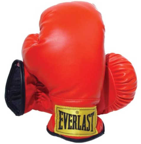 Everlast Laceless Youth Boxing Gloves