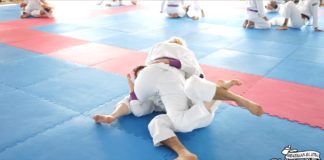 Fishnet BJJ Half guard attacks