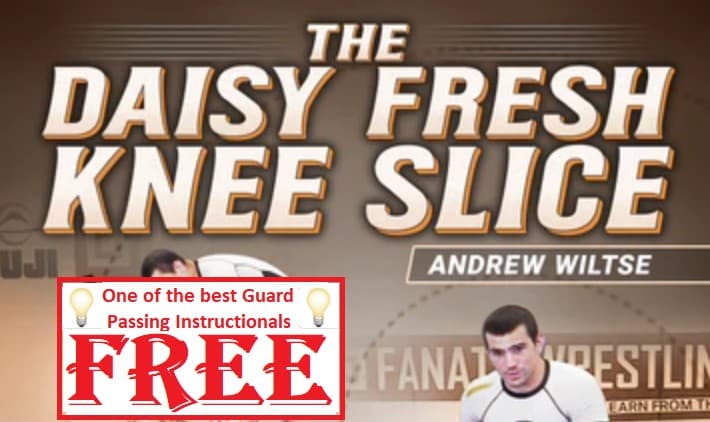 Wiltse Free Instructional