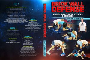 Brick Wall Defense by Hayden Zillmer