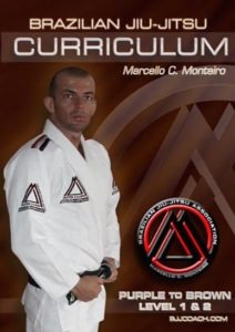 BJJ-CURRICULUM-PURPLE-TO-BROWN-LEVEL-1&2