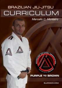 BJJ-CURRICULUM-PURPLE-TO-BROWN-LEVEL-3&4 BJJ Fundamentals DVD