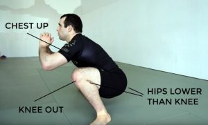 bjj squats