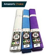 Ronin BJJ BELT