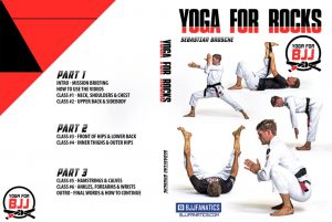 Yoga For BJJ Sebastian Brosche And the latest Yoga For Rocks DVD