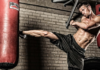 the best MMA schools in the world