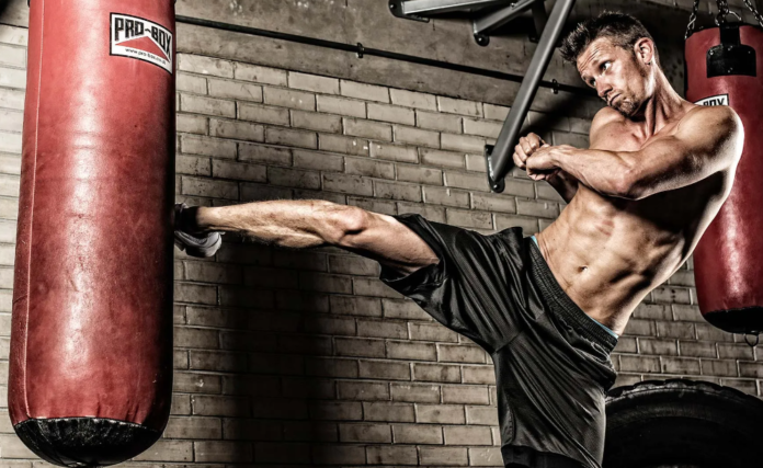 the best MMA schools in the world