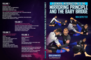General-Introduction-to-Mirroring-Principle-by-Wim-Deputter