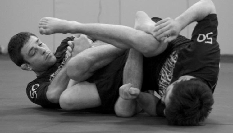 Ryan Hall Best BJJ DVD Instructionals