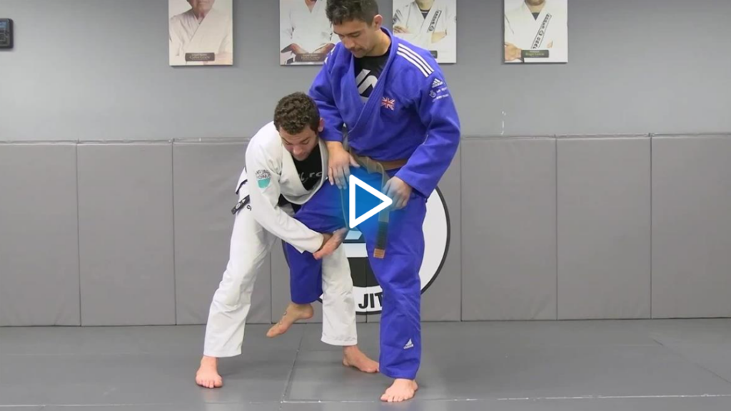 Rayron Gracie Turtle Mastery DVD 