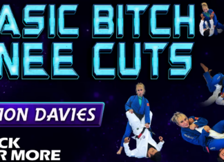 Basic Bitch Knee Cuts: A Ffion Davies DVD Review