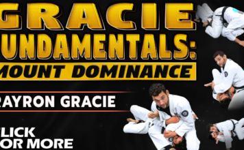 BJJ DVD Review: Mount Dominance By Rayron Gracie