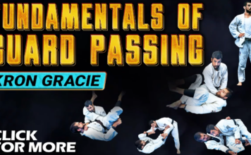 Fundamentals Of Guard Passing Kron Gracie DVD Review