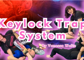 Vanessa Waltz DVD Review: Keylock Trap System